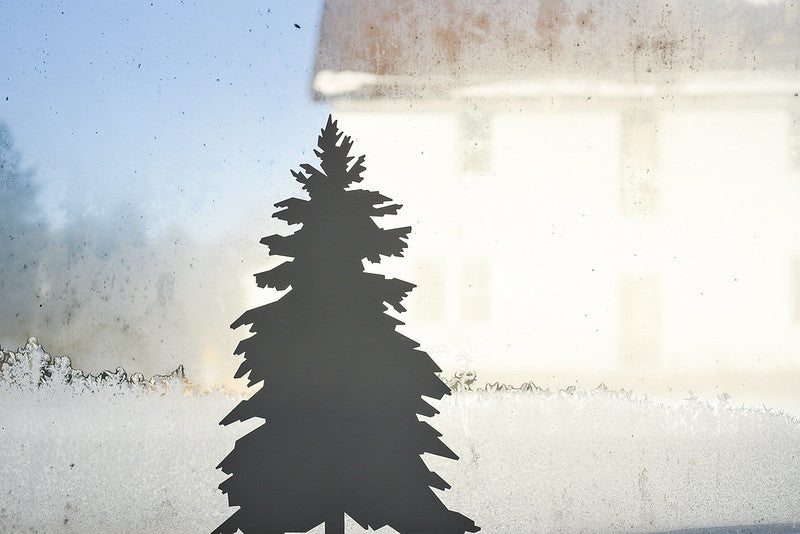 A spruce tree silhouette on a frosted window.