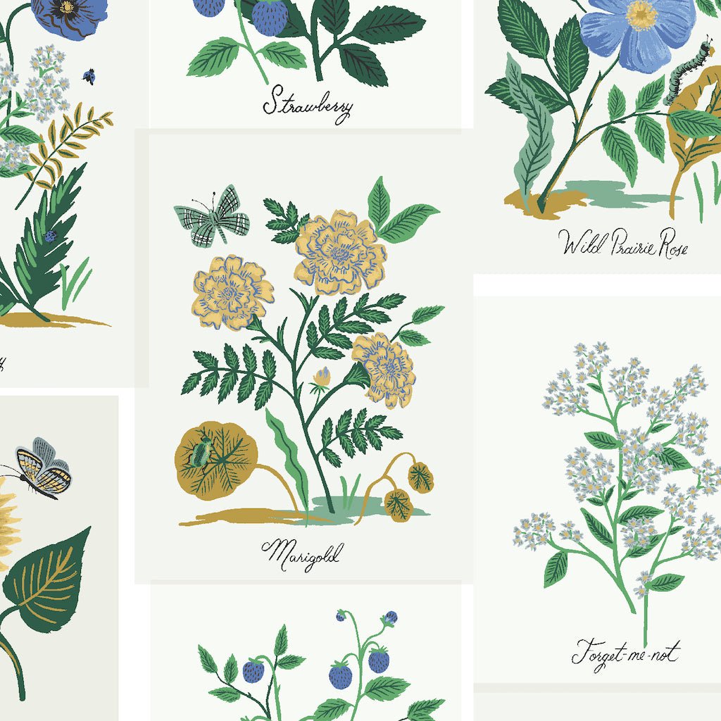 Rifle Paper Co. : Curio : Blue Multi Botanical Prints : Canvas - the workroom