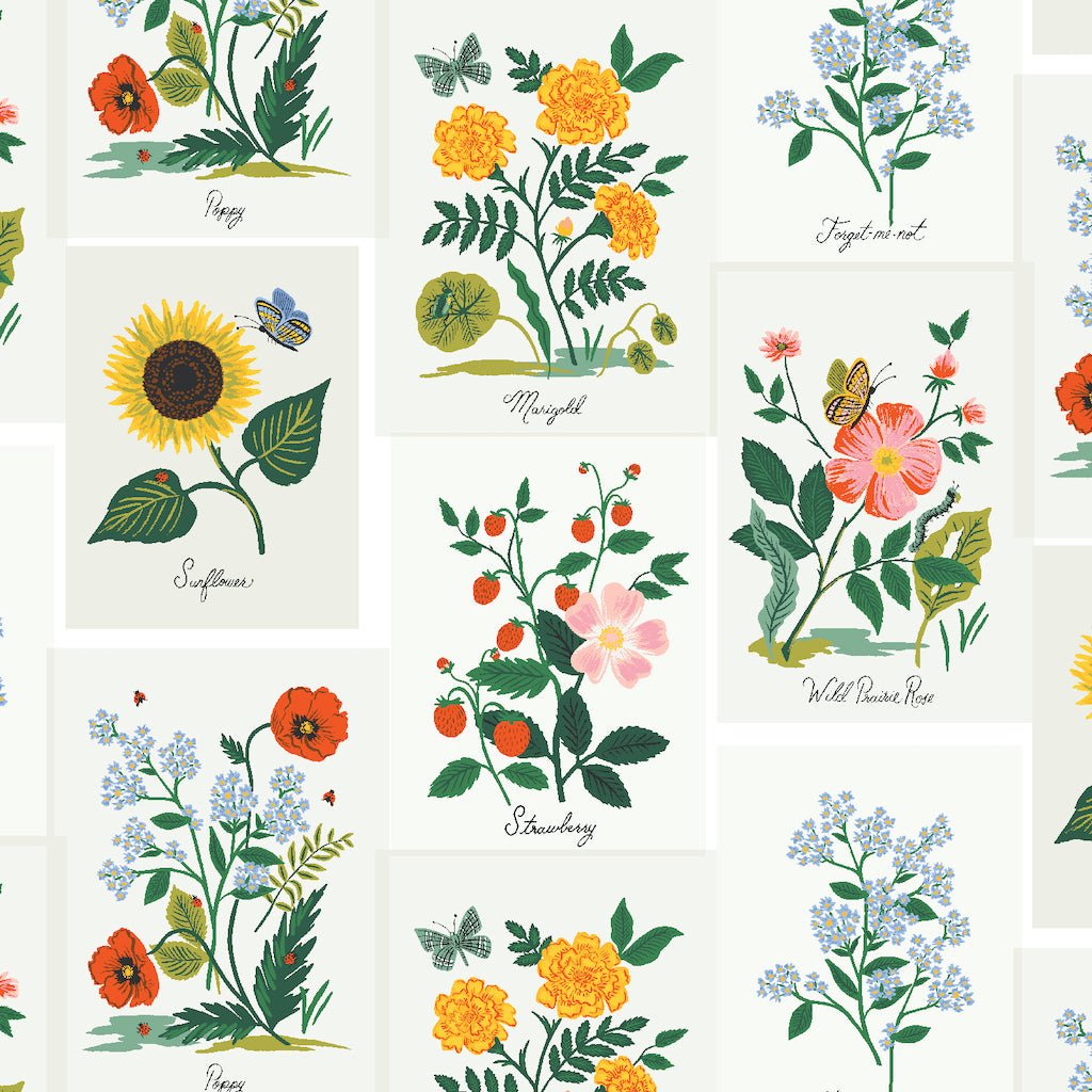 Rifle Paper Co. : Curio : Pink Multi Botanical Prints - the workroom